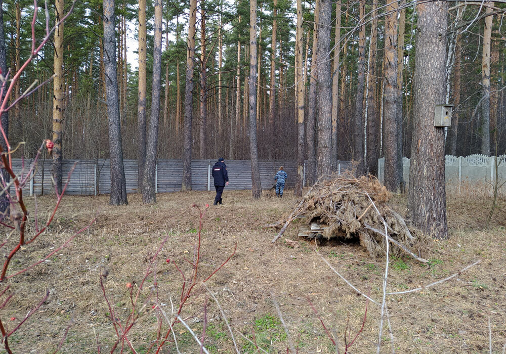 Будете смеяться, но нас снова обокрали. Полиция пускала по следу собаку, мазала пальцы чёрной краской и угрожала…