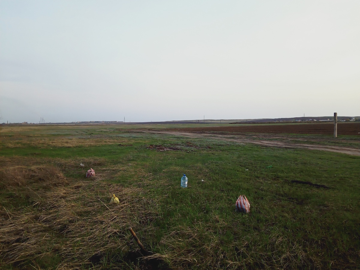 Бескрайние степи окружают населенные пункты. В пакетах саженцы