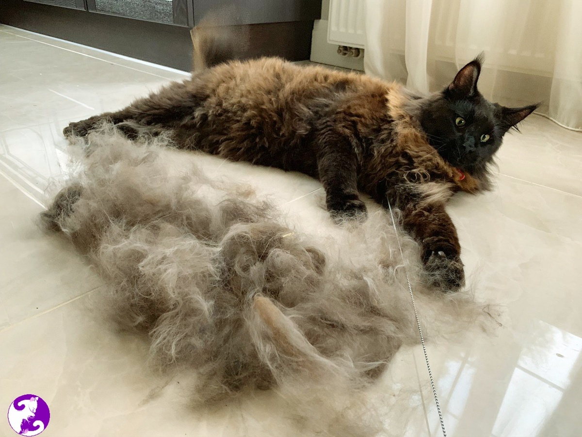 Источник: Yandex