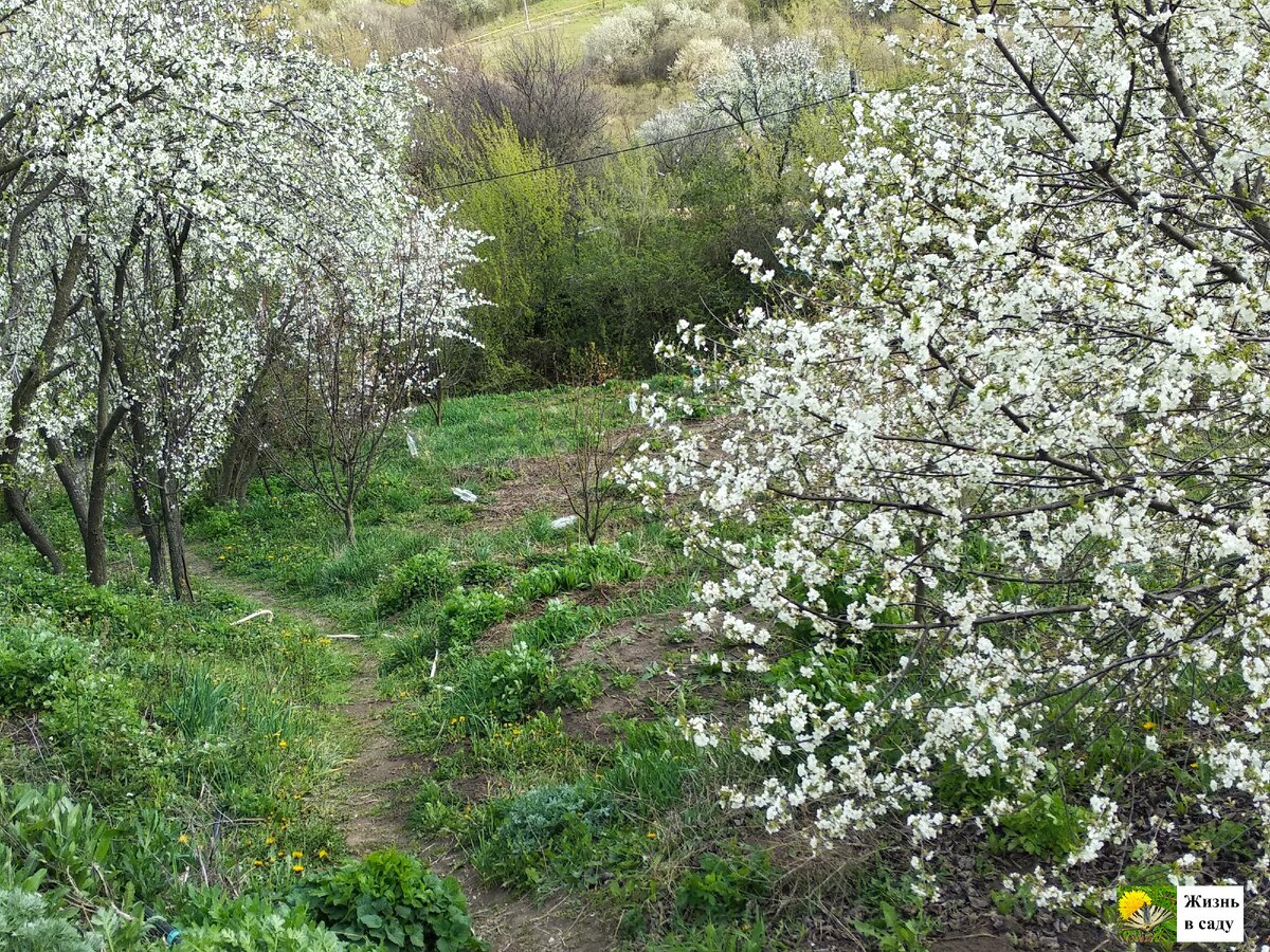 Как раз здесь немного просматривается часть склона. Он еще идет метров на 30 вверх и, примерно, столько же вниз. Еще и уходит влево к скважине