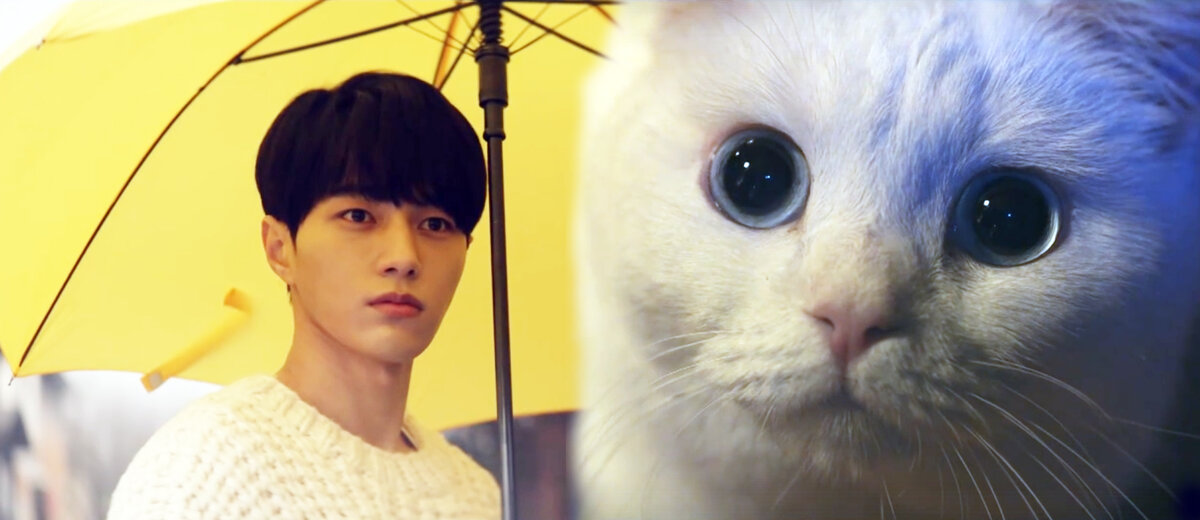 Ким Мён Су  - самый милый котик!