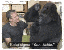 -4