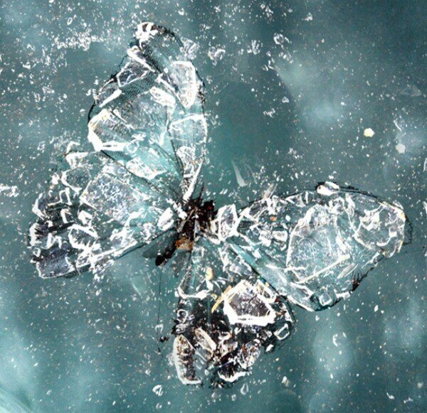 Яндекс. Картинки.