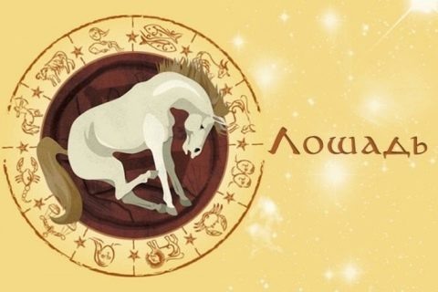 https://vplate.ru/
