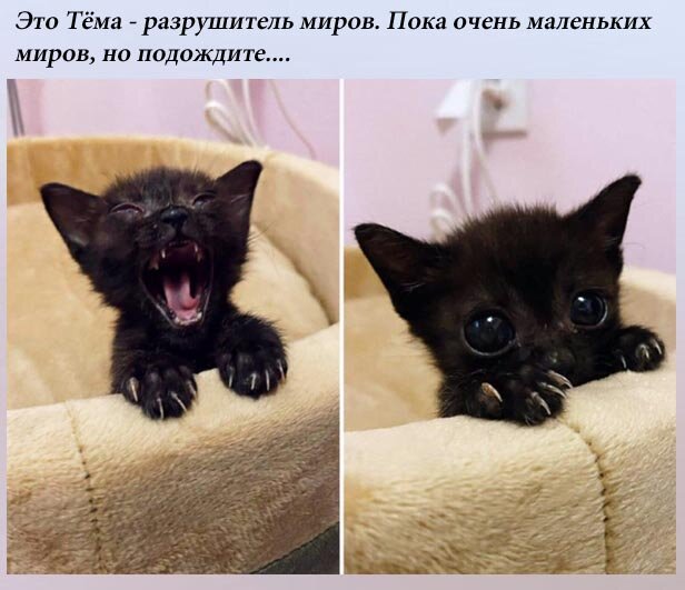 Картинка из источника с открытым доступом