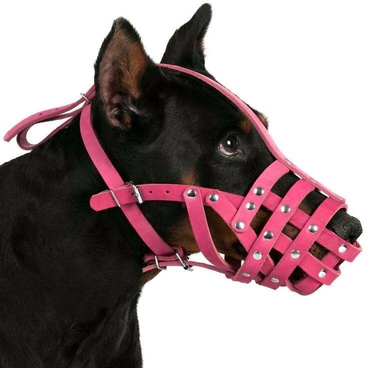 Очень узкий намордник, собака не сможет открыть рот. 