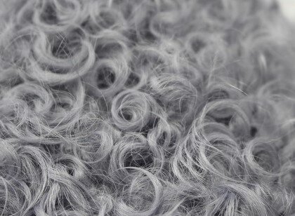 Примерно из  такого меха была шубка Марины. Фото из открытого источника