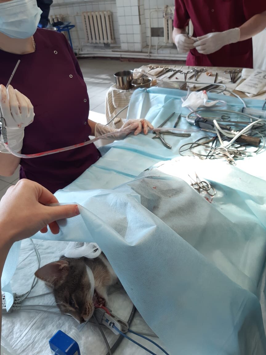 Впечатлительным просим не листать карусель.