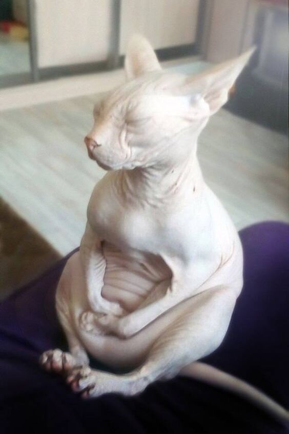 Спокойствие.. я само спокойствие