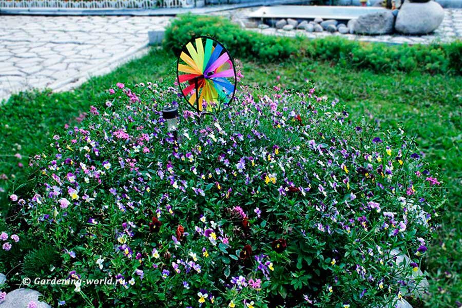 Цветник без прополки и сложного ухода, 5 лёгких подсказок для создания