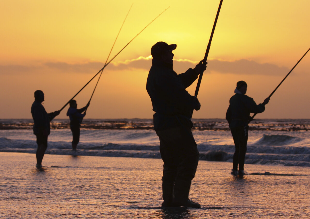 из Яндекс картинок