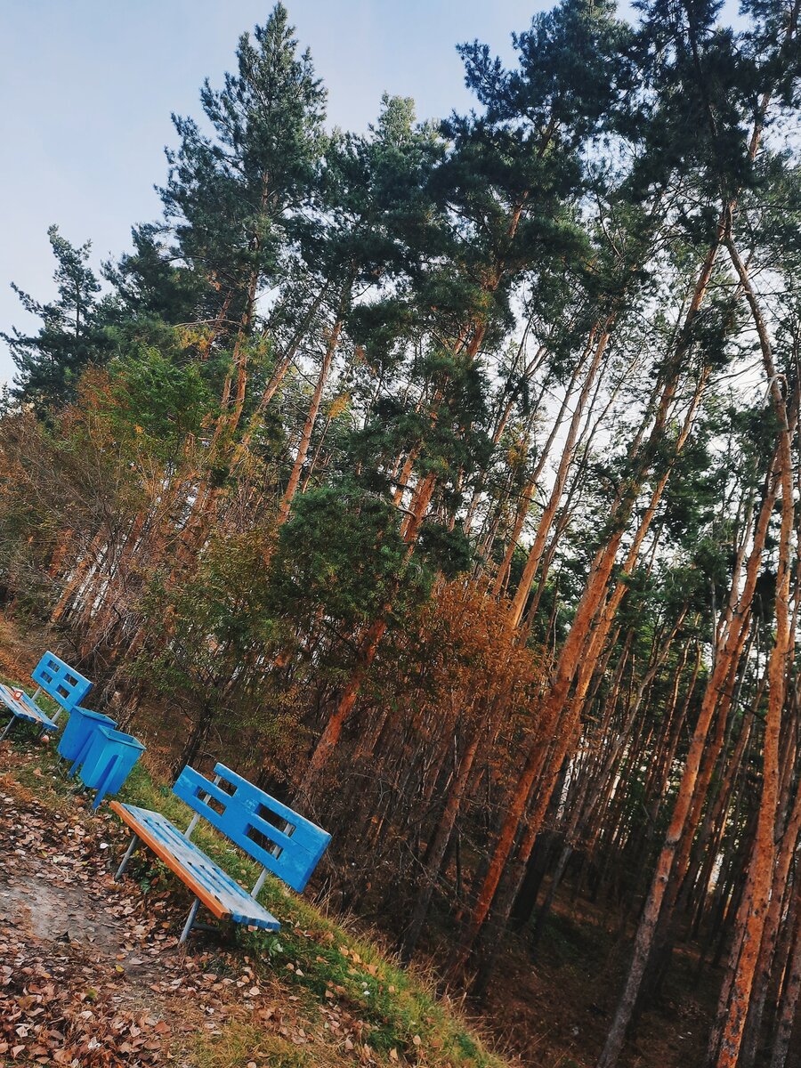 Плюсы жить здесь.