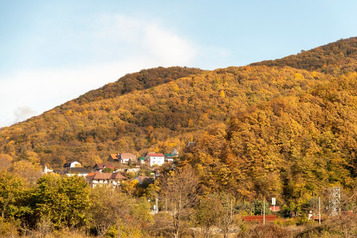 Изба агой. Дуб в Агое. Село Агой. Рынок, село Агой. Село Агой, конечная улица.