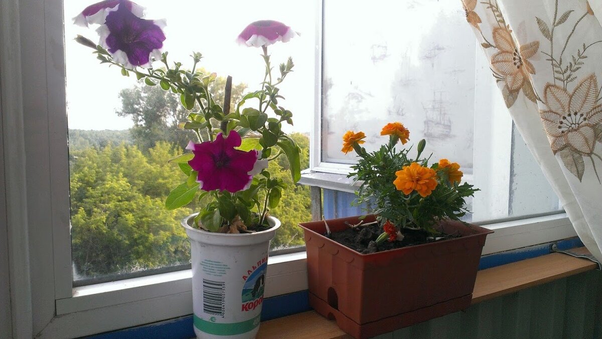 Стеллажи для цветов в квартиру и на балкон. Таких нет ни у кого!