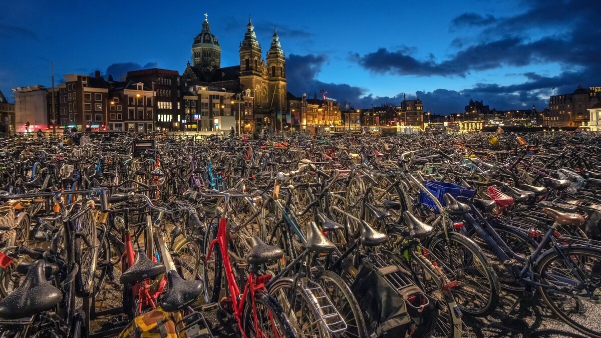 фото с Яндекс картинки