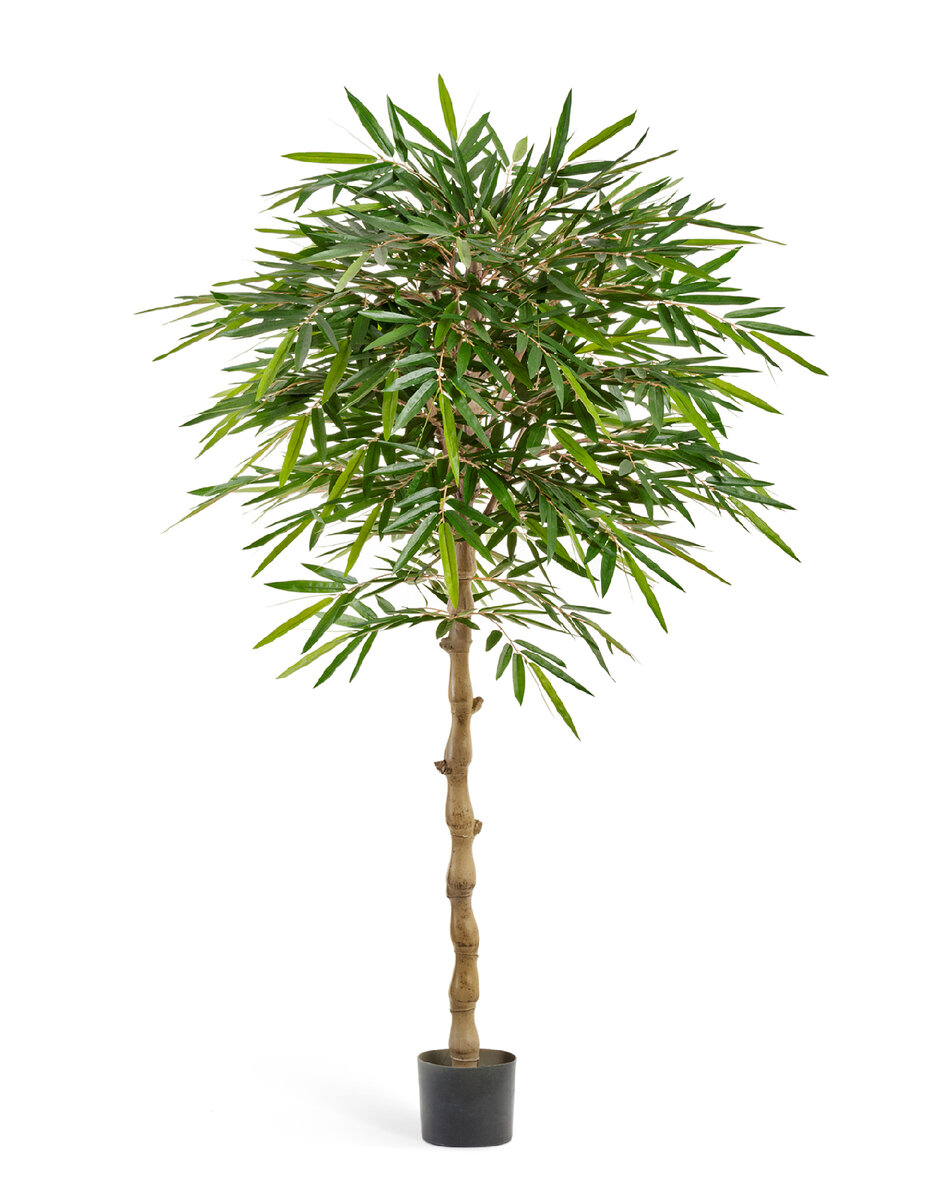 Искусственные Зонтичный бамбук Treez Collection.