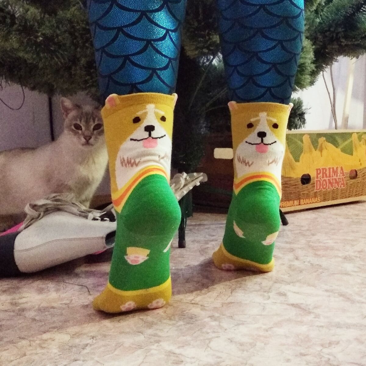 -2