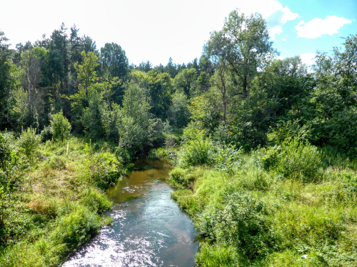 река Шолья