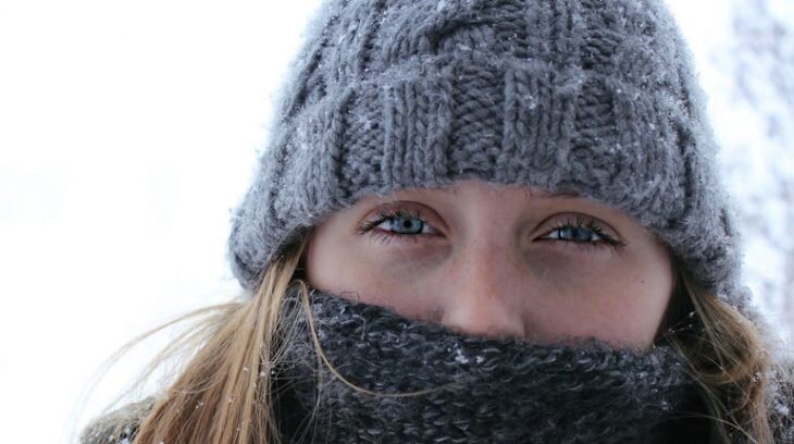 Фото: pexels.com