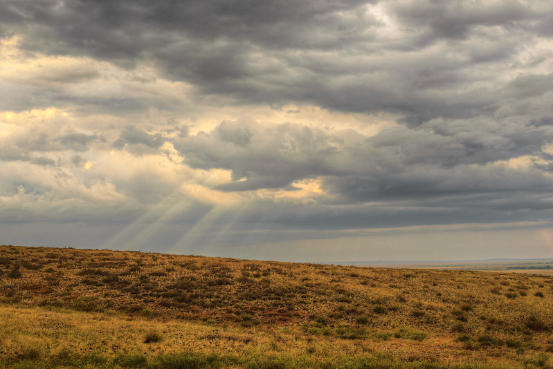 Изображение взято с сайта Flickr.com