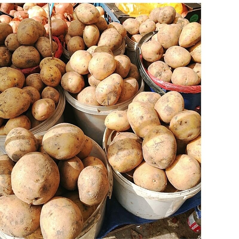 Вот такой картофель продается на местной ярмарке