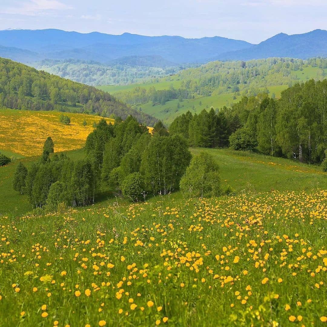 Красоты алтая фото летом