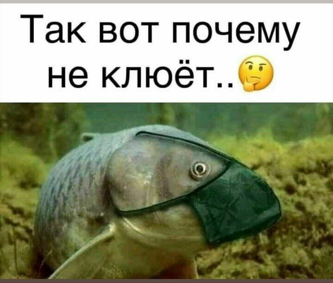Фото с интернета. В тему)