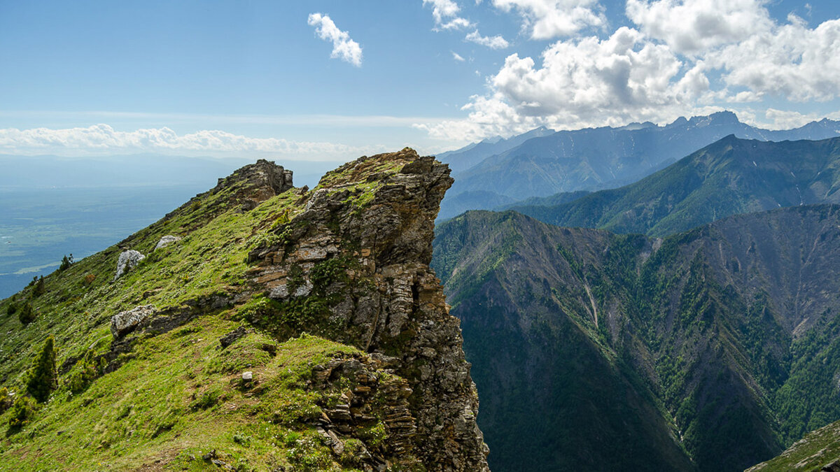 Фото из свободных источников