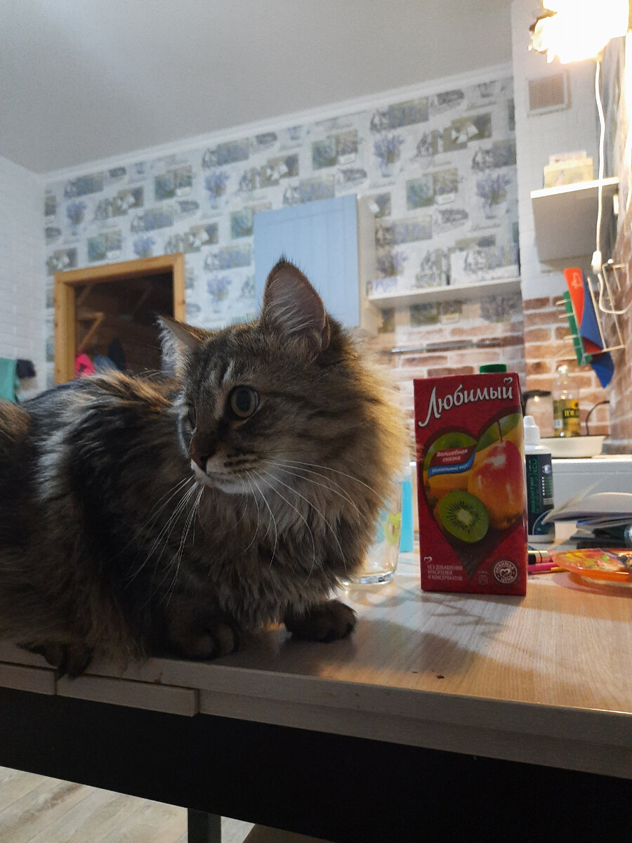 Но потом он понял все