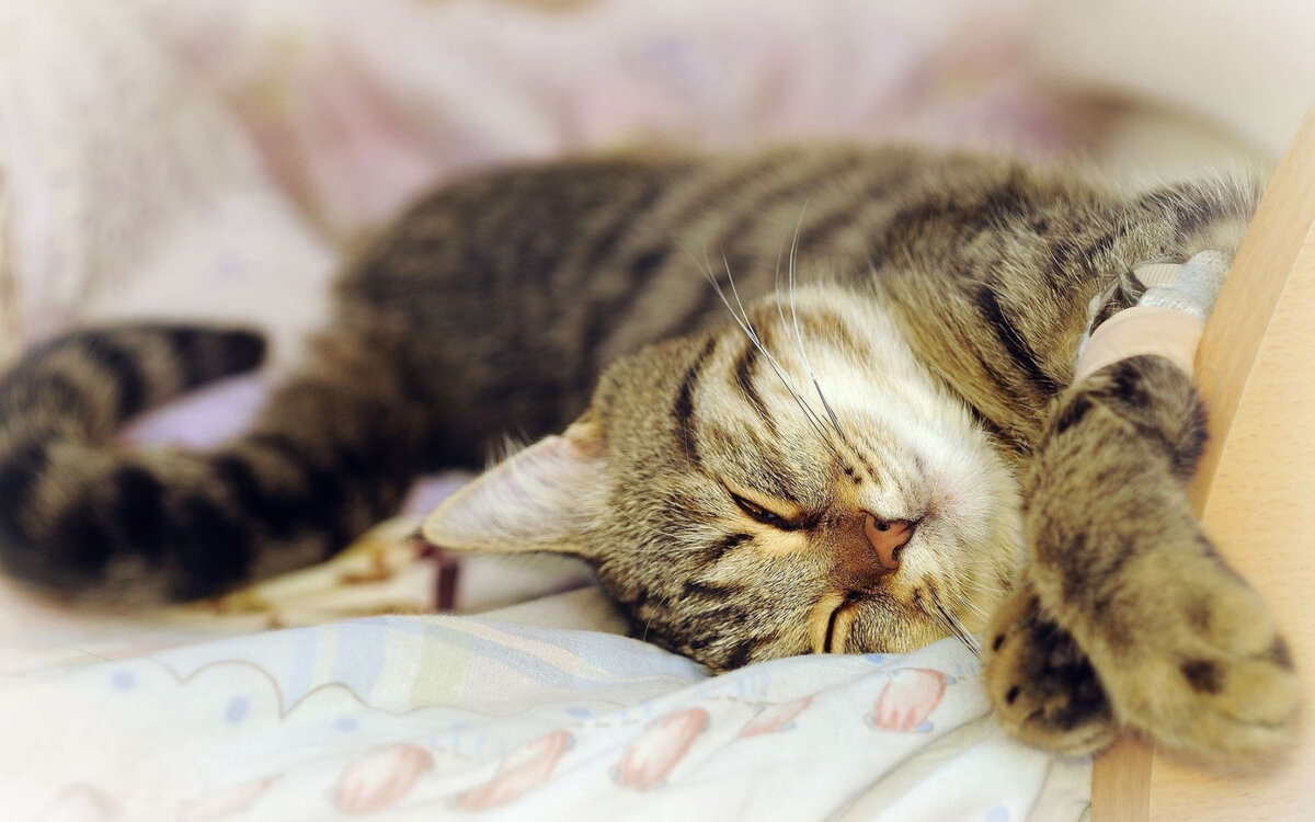 Идите вы уже на свою работу