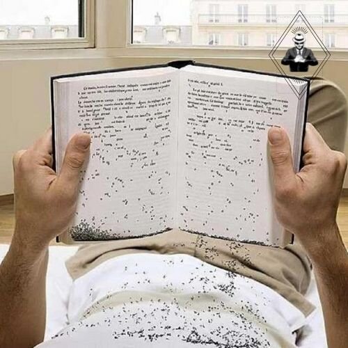 Изображение из открытых источников