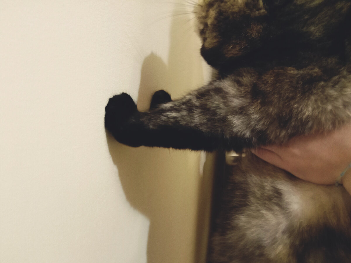 Сейчас вырвусь, мало не покажется