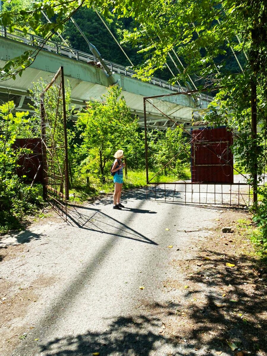 Светлана Птицына