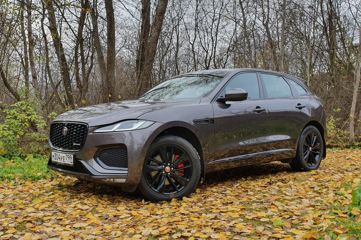 Jaguar F-Pace. Фото CarExpert.ru