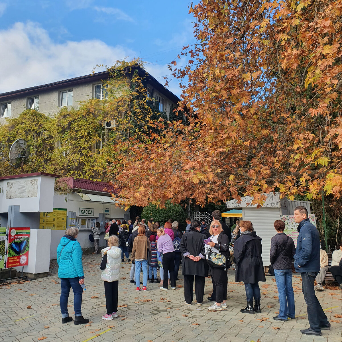 Очередь в кассу картинки