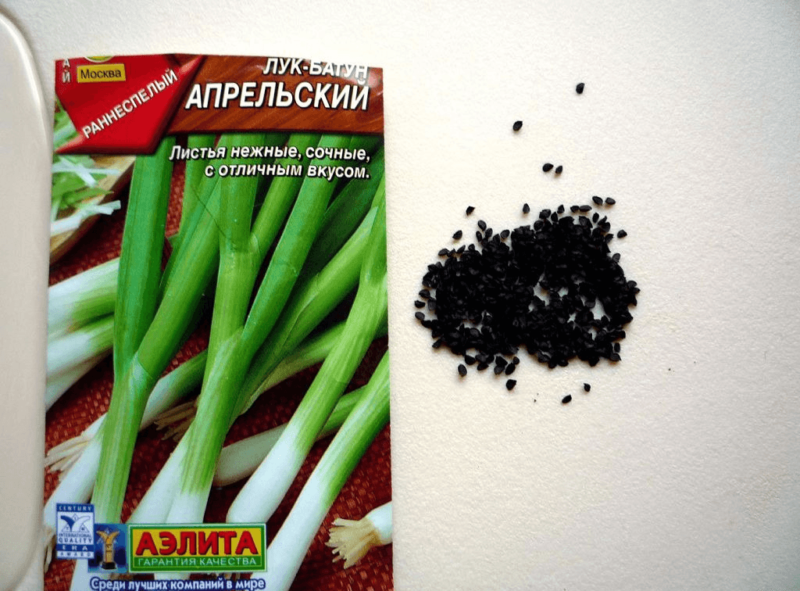 Когда сеять семенами лук в открытый грунт. Лук батун апрельский. лук батун семенами. лук батун всходы из семян. лук батун семена выглядят.