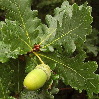 фото взято из интернета