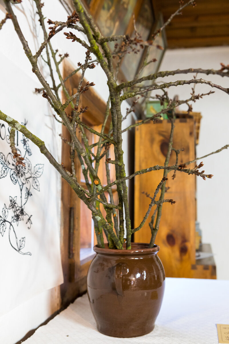 ©фотобанк ЧехТуризма, Barborka