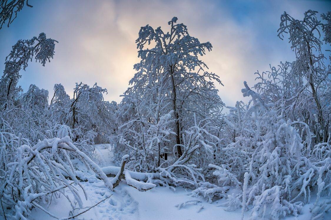 Фото — fonwall.ru