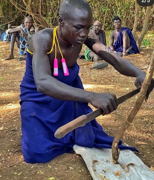 чистят кору дерева