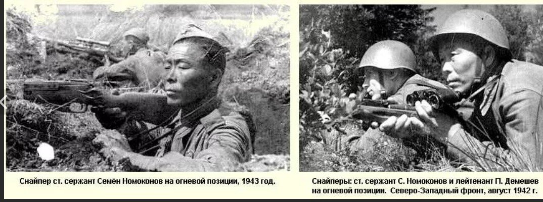 фото из открытых источников сети Интернет.