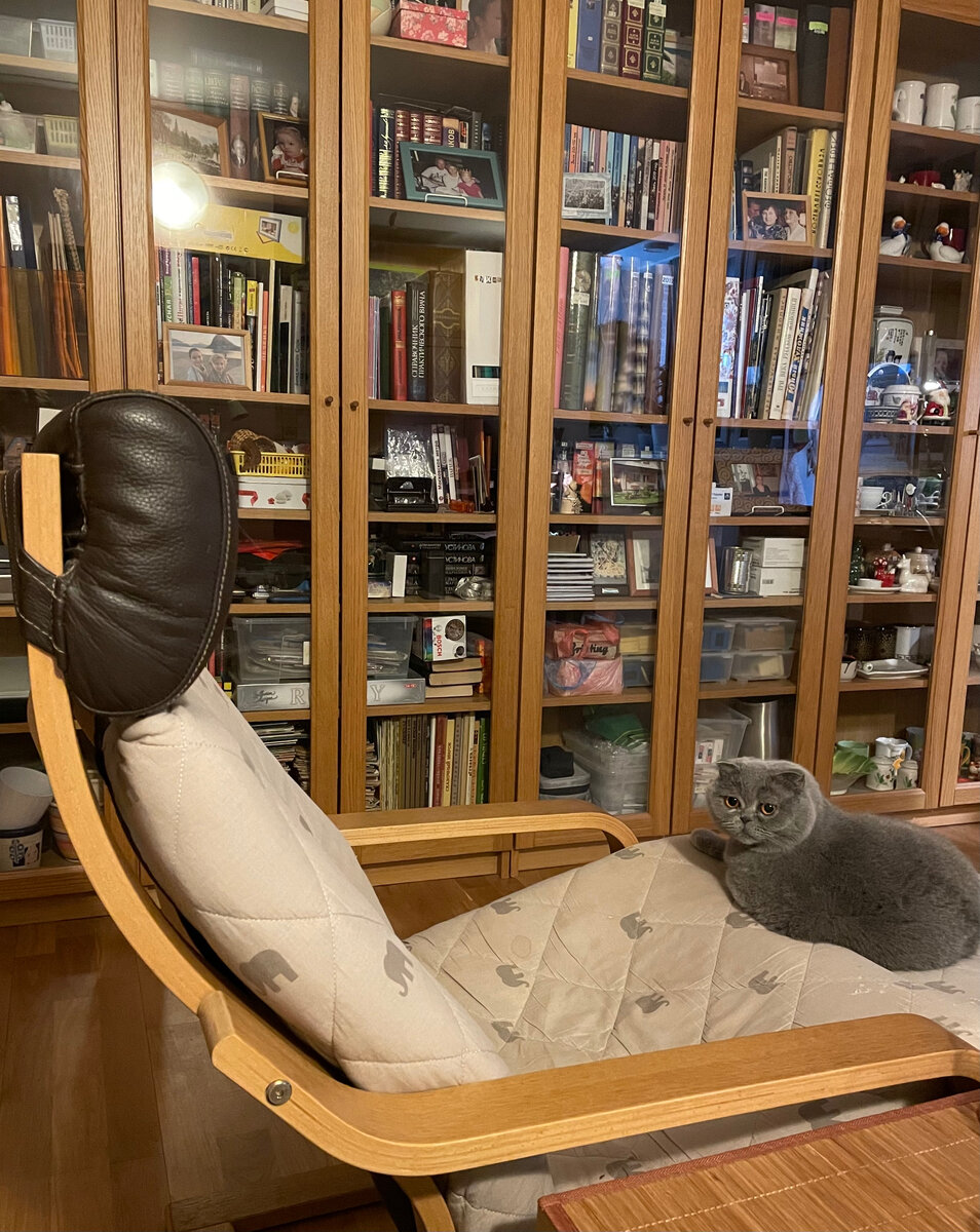 Вот так видела это кресло, а за ним стеллаж