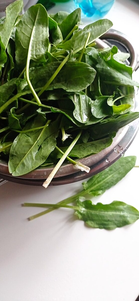 Щавеля нарвала полный дуршлаг и хорошенько промыла в проточной воде. 