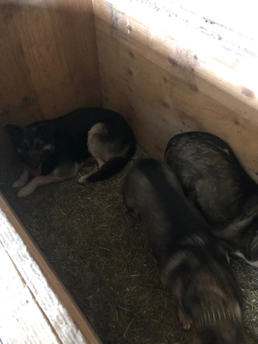 вся жизнь в зимнике