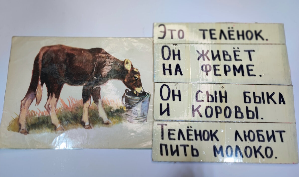 Рассказ "Теленок"