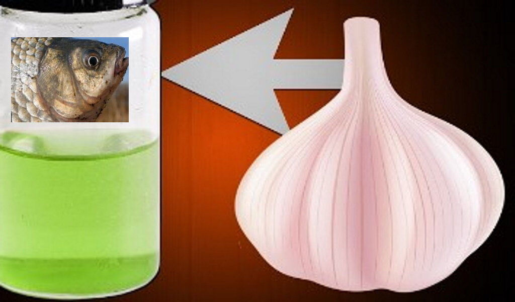 Чесночный ароматизатор для рыбалки своими руками