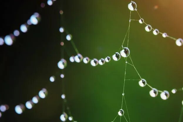     Оказалось, что вода спонтанно превращается в перекись — и с этим связана сезонность простуды и гриппа