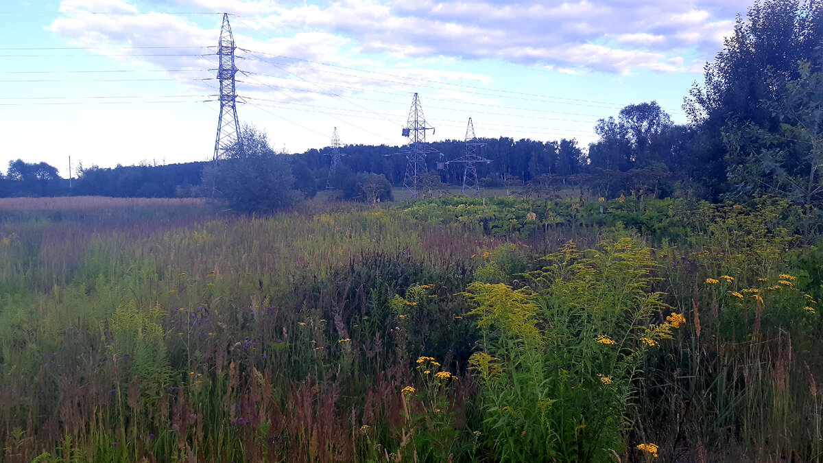 Поближе, выше травы