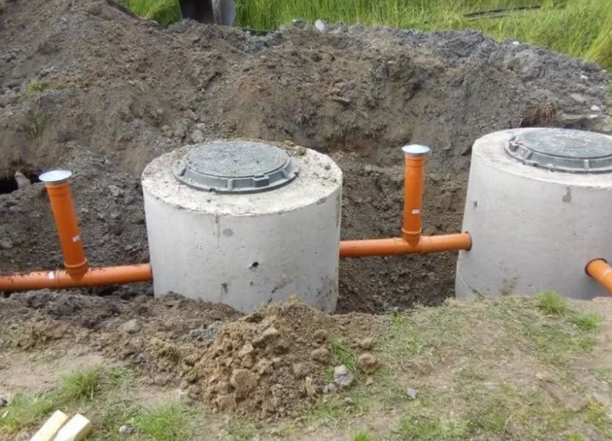 Фотография взята из источника yandex.ru