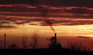    Фото: unsplash.com / Ankhesenamun Гульназ Астахова